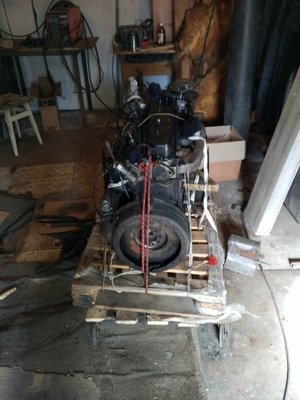 IMG_2017-02-25_132314_500x667.jpg