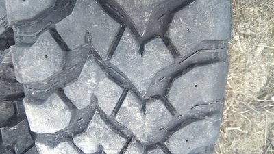 IMG_20170313_145419.jpg