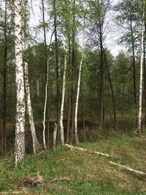 10.JPG (119.26 Кб) Переглянуто 18817 разів 10.JPG