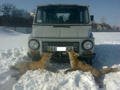 23022013860.jpeg