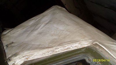 SL370174.JPG