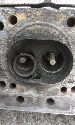 IMAG0235.jpg