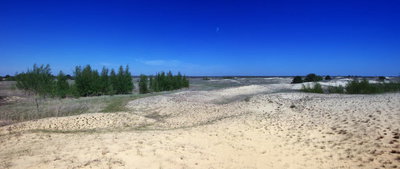 [Group 4]-IMG_3056_IMG_3058-3 images (2).jpg