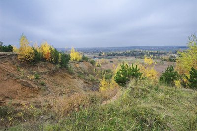 IMG_9530.jpg