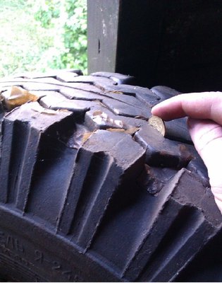 IMAG0108.jpg