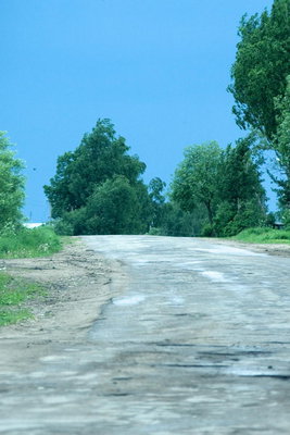 IMG_6010.jpg