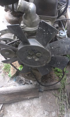 IMAG0026.jpg