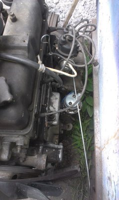 IMAG0027.jpg