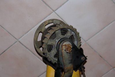IMG_7074.jpg