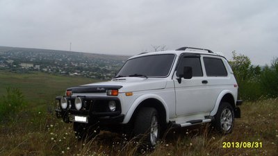 SL370546.JPG