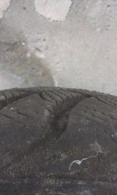 IMAG0114.jpg