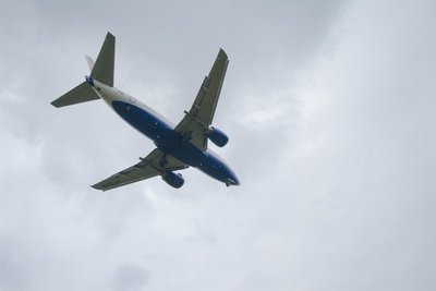 IMG_1301.jpg