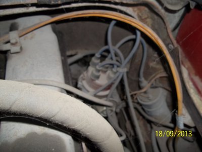 100_4496.jpg