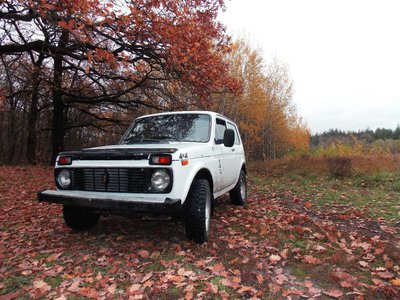 111245503_2_1000x700_prodam-nivku-2121-fotografii.jpg