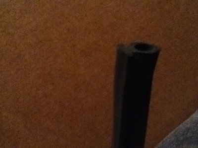 IMG_3090.jpg