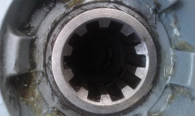 IMAG0309.jpg