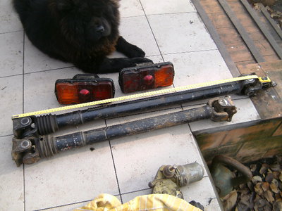PICT0865.JPG