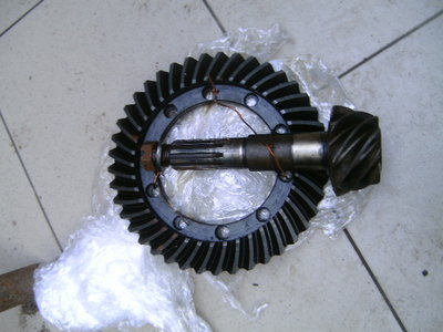PICT0547.JPG