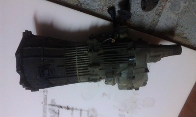 IMAG0294.jpg