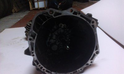 IMAG0295.jpg