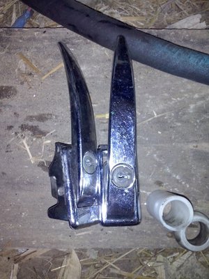 CAM00404.jpg