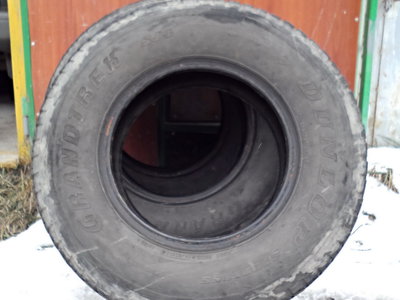Dunlop_02_resize.JPG