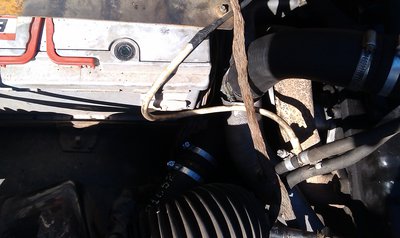 IMAG0537.jpg