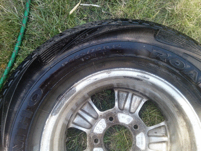 IMG_20150802_141318_1.gif