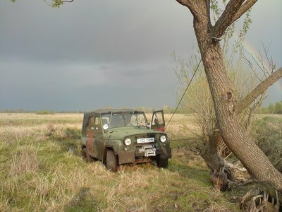 y_9ec512e3.jpg
