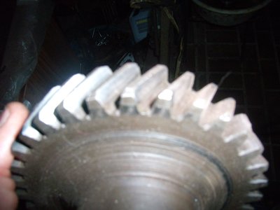 PB210577.JPG