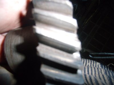PB210578.JPG