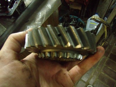 PB210587.JPG