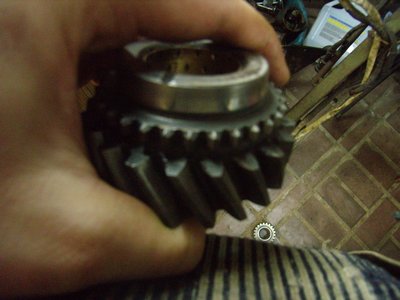 PB210589.JPG