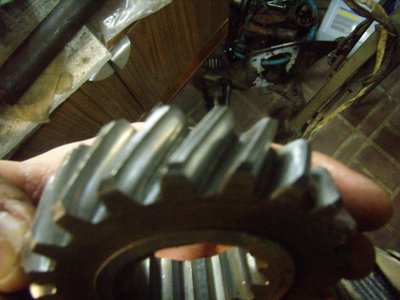 PB210591.JPG