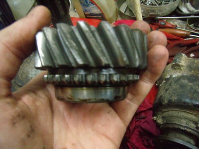 PB210593.JPG