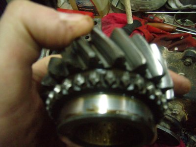 PB210594.JPG