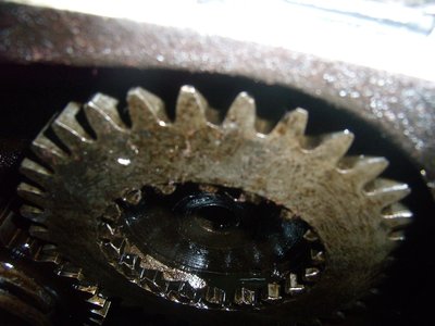 PB210604.JPG