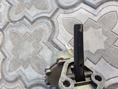 image4(1).JPG