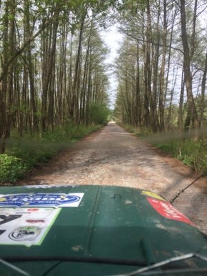 1.JPG (93.97 Кб) Переглянуто 19171 разів 1.JPG