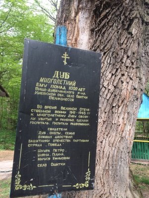 3.JPG (113 Кб) Переглянуто 19172 разів 3.JPG