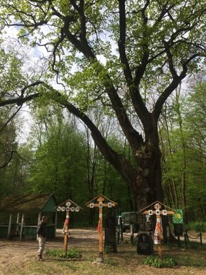 6.JPG (123.77 Кб) Переглянуто 19170 разів 6.JPG